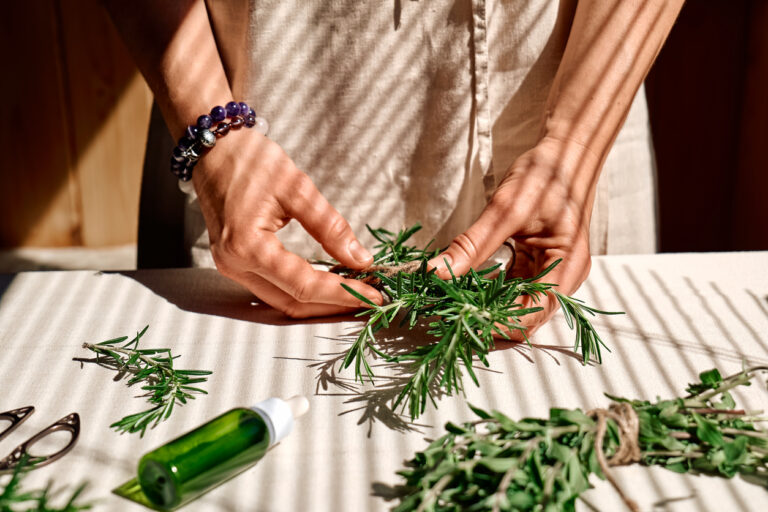 Transformer des plantes aromatiques et médicinales [F23102] avec le collectif Devenir Paysanne Paysan