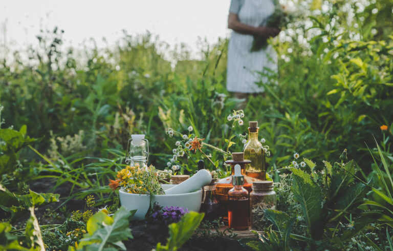 Produire des plantes aromatiques, à parfum et médicinales devenir Paysanne Paysan Enseignement agricole public formation