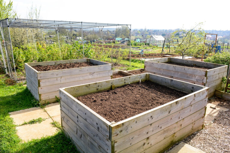 Créer un espace de production en permaculture [F35101] avec le collectif Devenir Paysanne Paysan