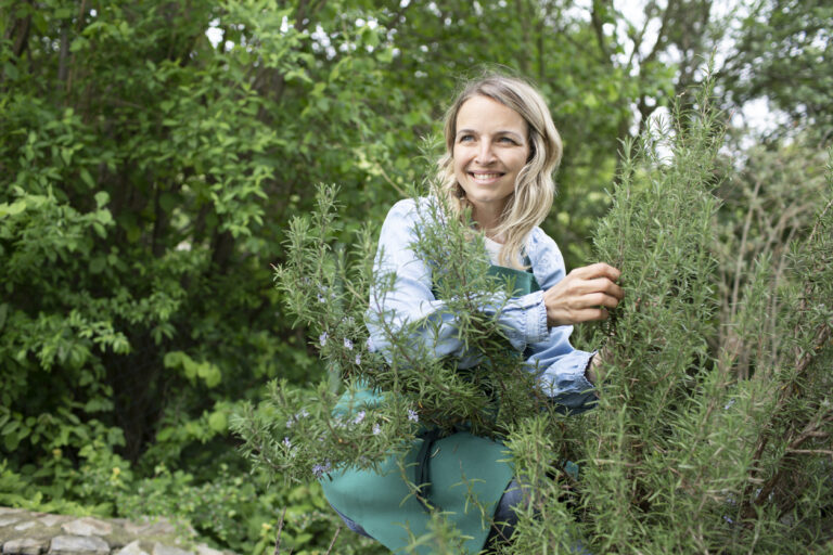 Cueillir des plantes aromatiques, à parfum et médicinales en milieu sauvage [F14103] avec le collectif Devenir Paysanne Paysan