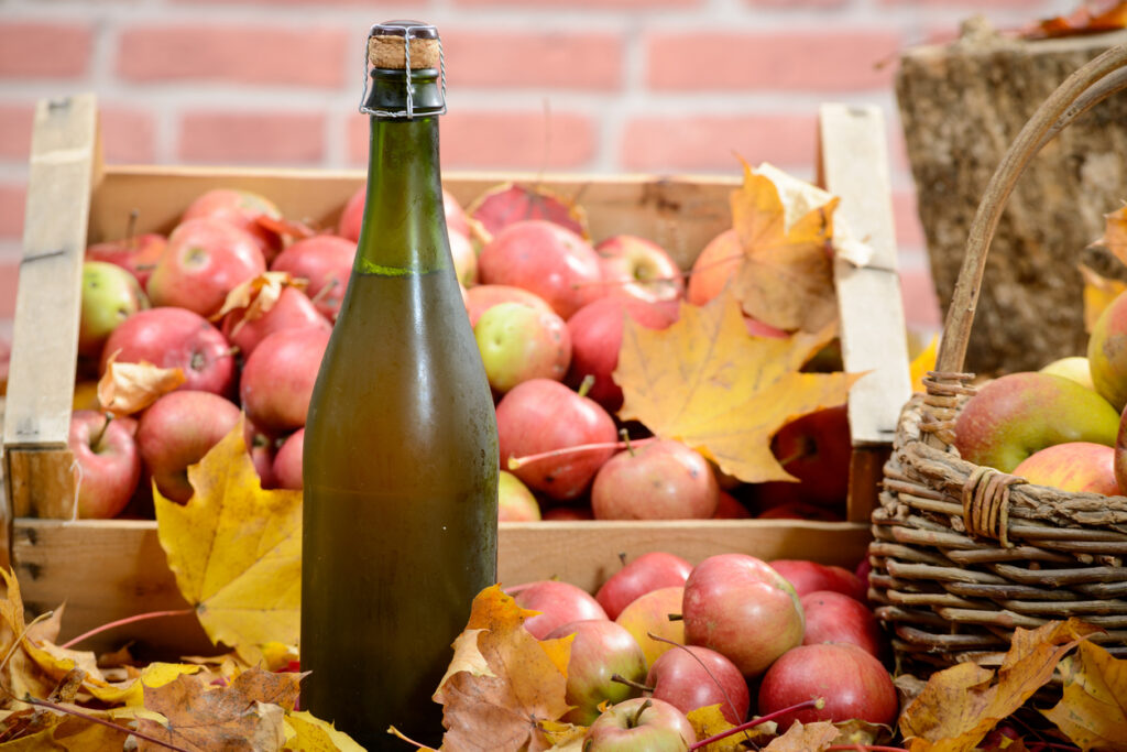 Fabriquer du cidre avec le collectif devenir Paysanne Paysan